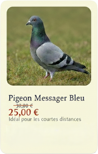 pigeon1