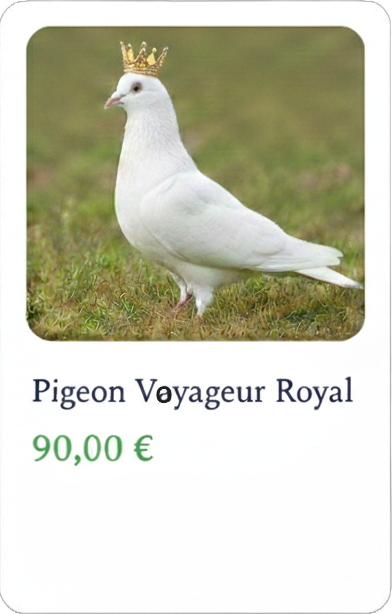 pigeon4